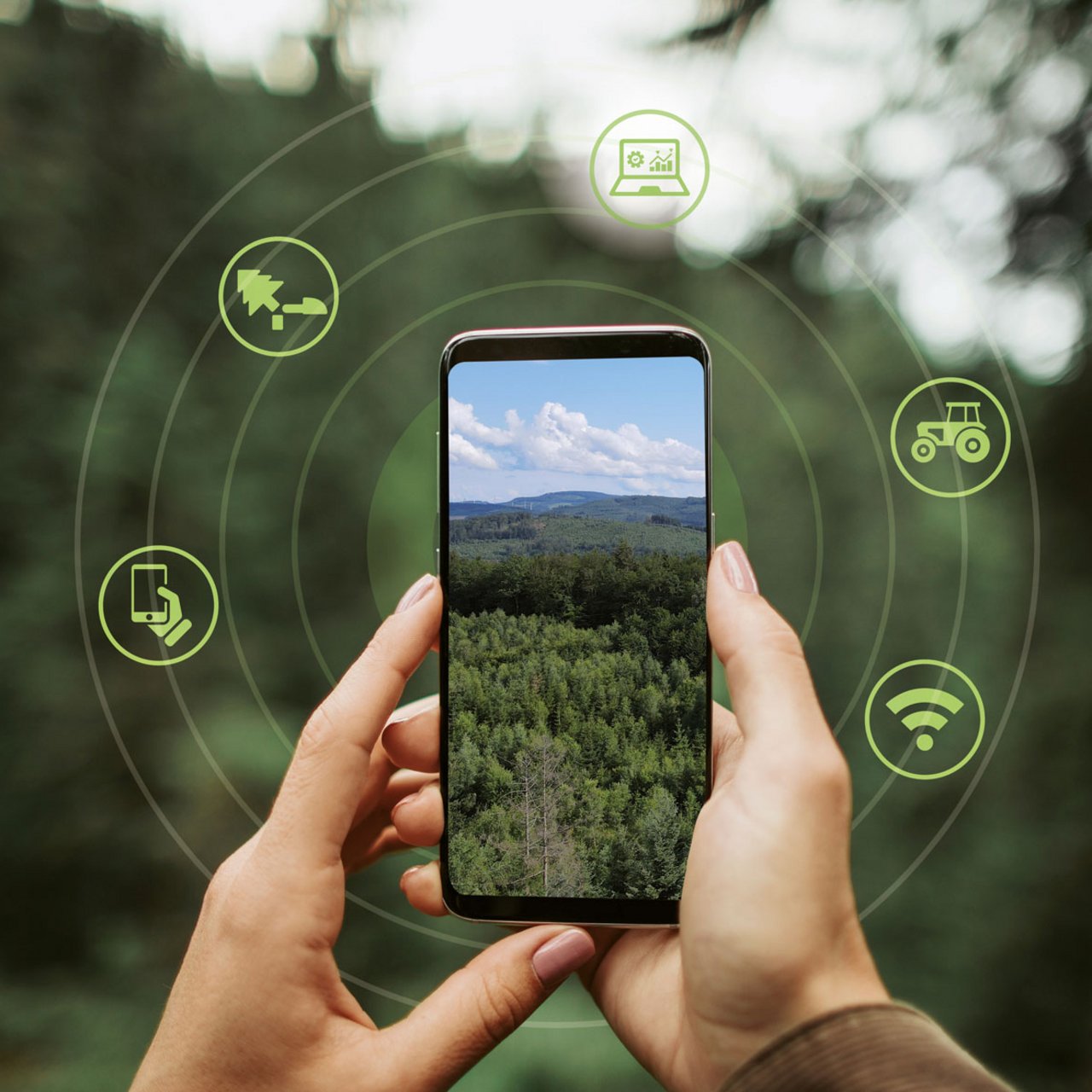 Smart Forest Management - English